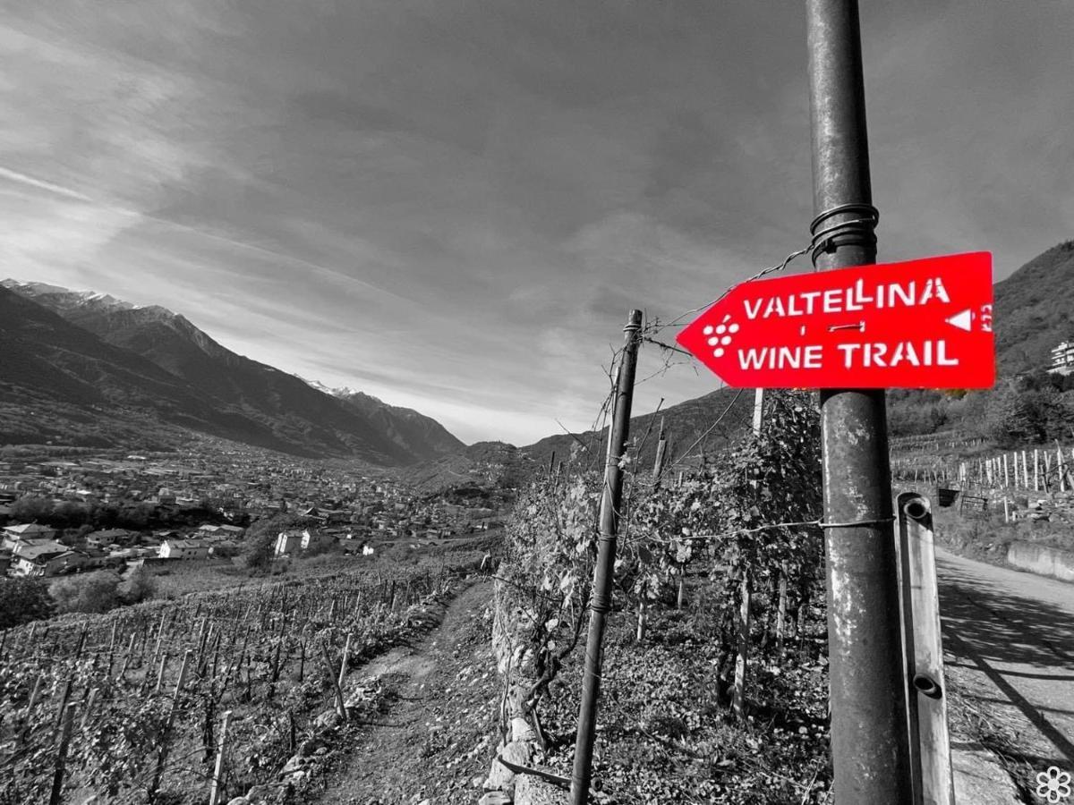 Ca Marinet 1931 - - Sondrio *